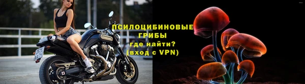 молекула духа Медногорск