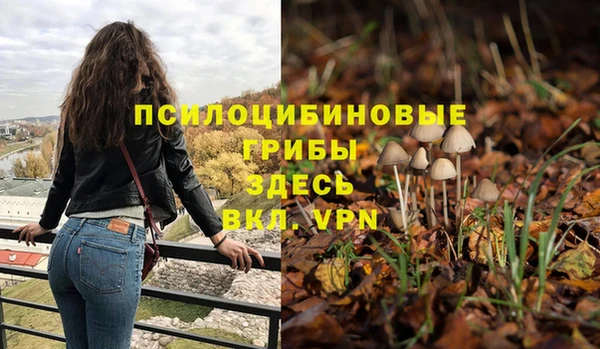 MESCALINE Магас